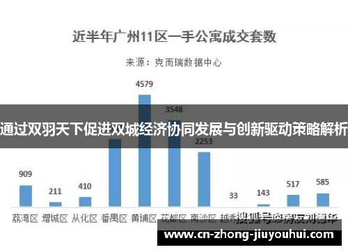 通过双羽天下促进双城经济协同发展与创新驱动策略解析