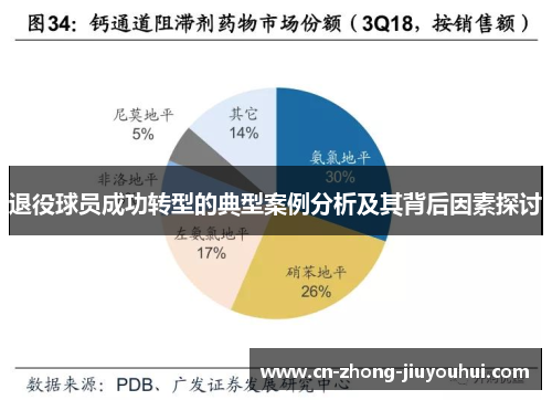 退役球员成功转型的典型案例分析及其背后因素探讨
