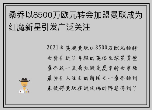 桑乔以8500万欧元转会加盟曼联成为红魔新星引发广泛关注